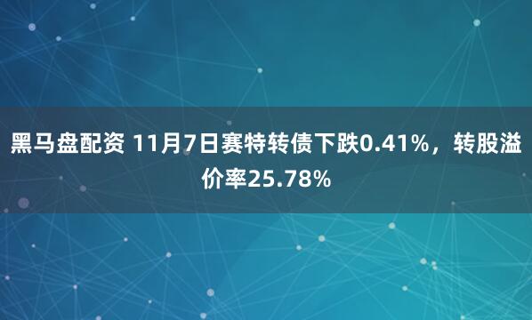 黑马盘配资 11月7日赛特转债下跌0.41%，转股溢价率25.78%
