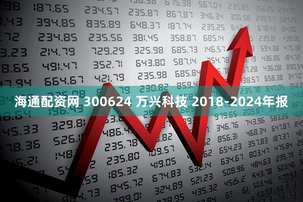 海通配资网 300624 万兴科技 2018-2024年报